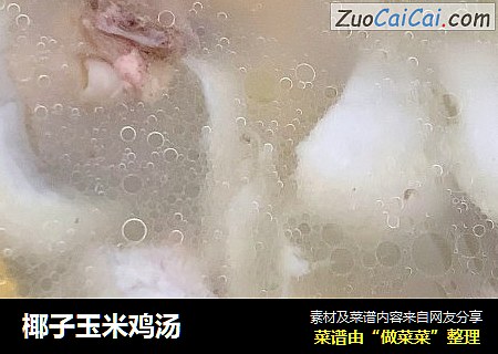 椰子玉米鸡汤