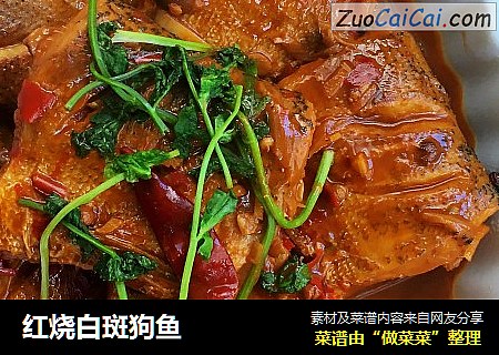 红烧白斑狗鱼