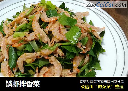 鳞虾拌香菜