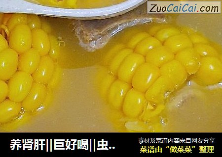养肾肝‖巨好喝‖虫草花猪骨汤