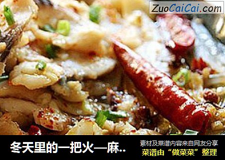 冬天里的一把火—麻辣跳水鱼片