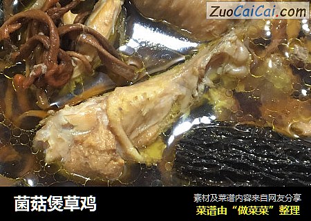 菌菇煲草鸡