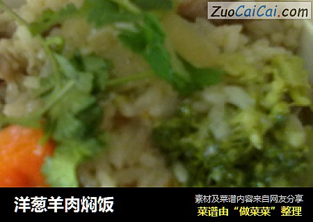 洋葱羊肉焖饭