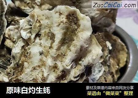 原味白灼生蚝