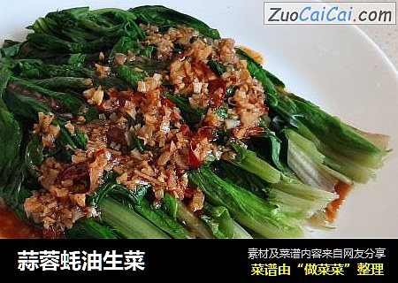 蒜蓉蚝油生菜