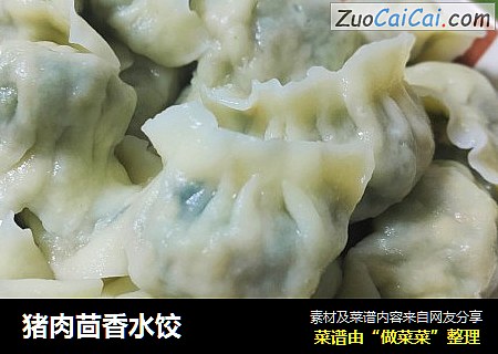 猪肉茴香水饺