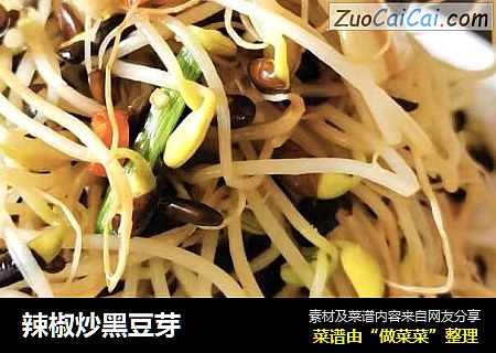 辣椒炒黑豆芽