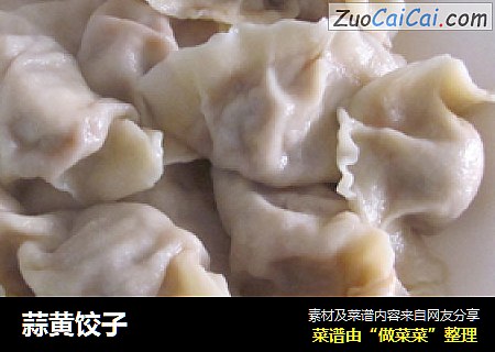 蒜黄饺子