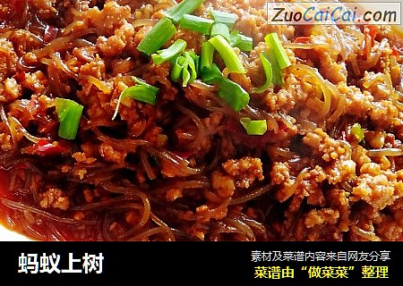 蚂蚁上树