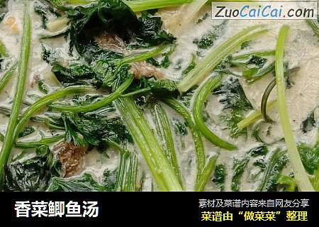 香菜鲫鱼汤