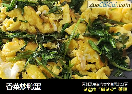 香菜炒鸭蛋