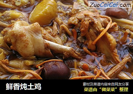 鲜香炖土鸡