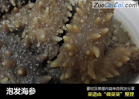 泡发海参