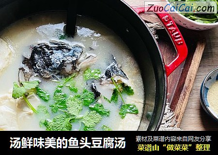 汤鲜味美的鱼头豆腐汤