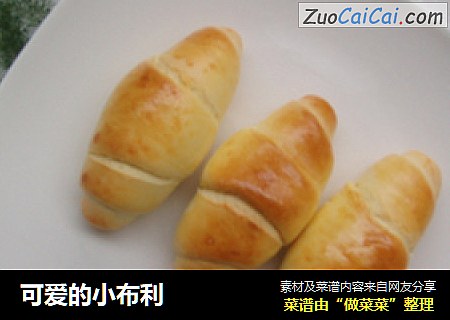 可爱的小布利