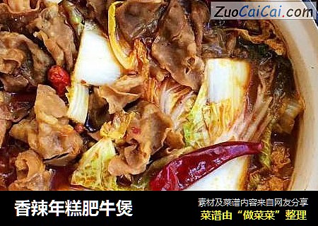 香辣年糕肥牛煲