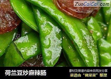 荷兰豆炒麻辣肠