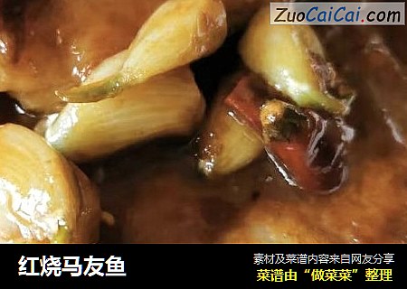红烧马友鱼