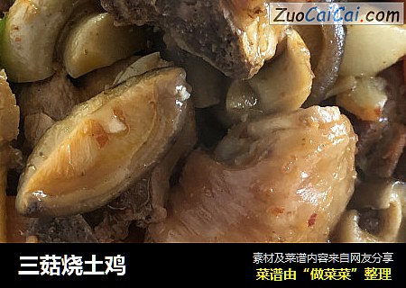 三菇烧土鸡