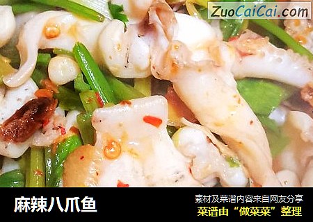麻辣八爪鱼