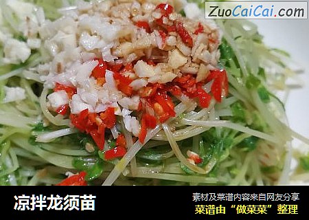 凉拌龙须苗