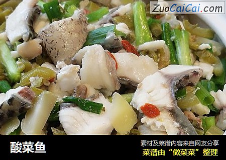 酸菜鱼