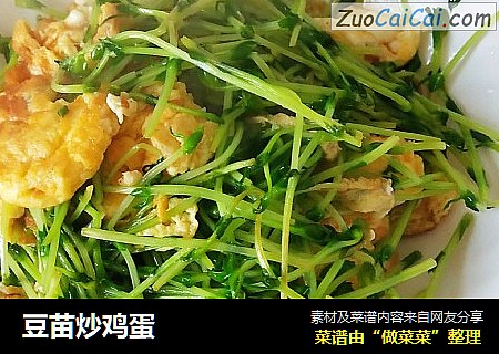 豆苗炒鸡蛋