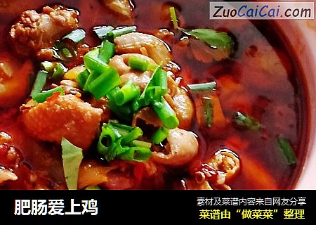 肥肠爱上鸡
