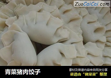 青菜猪肉饺子
