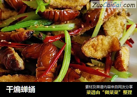 干煸蝉蛹