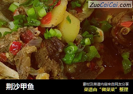 荆沙甲鱼
