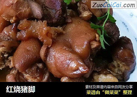 红烧猪脚