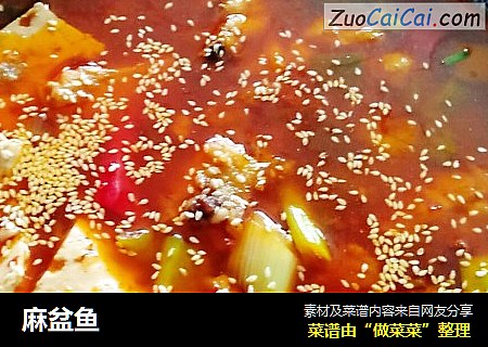 麻盆鱼