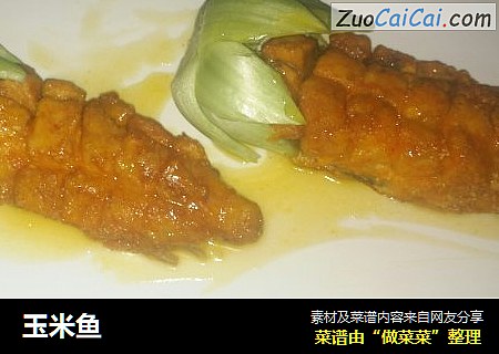玉米鱼