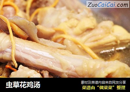 虫草花鸡汤