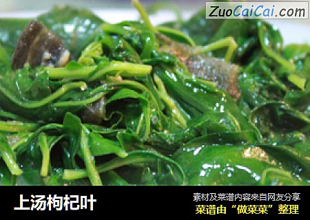 上汤枸杞叶