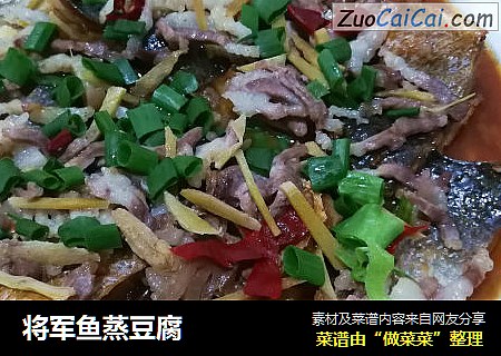 将军鱼蒸豆腐