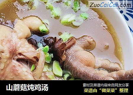 山蘑菇炖鸡汤