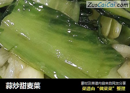 蒜炒甜麦菜