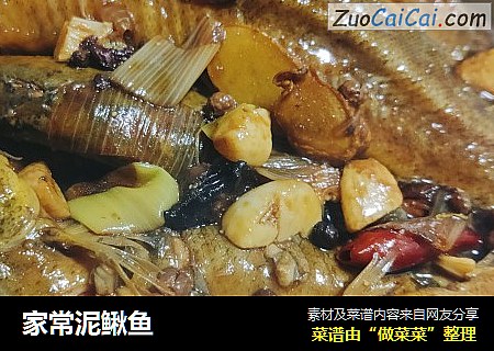 家常泥鳅鱼