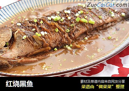 红烧黑鱼