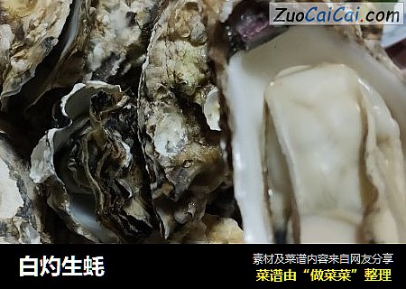 白灼生蚝