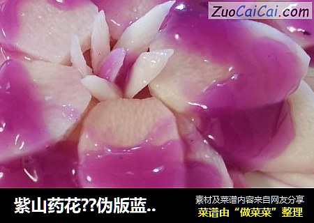 紫山药花??伪版蓝莓山药