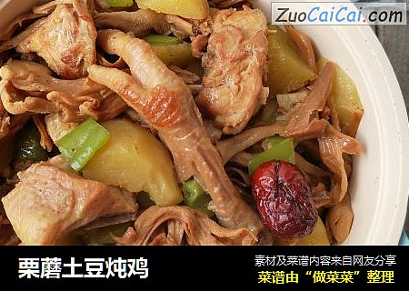 栗蘑土豆炖鸡