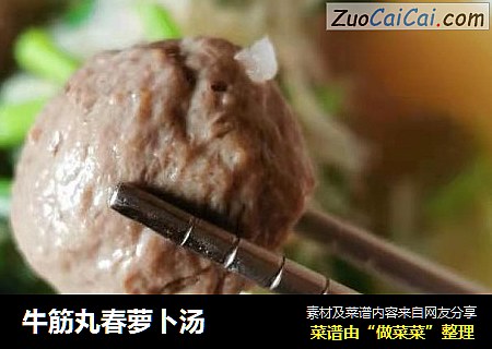 牛筋丸春萝卜汤