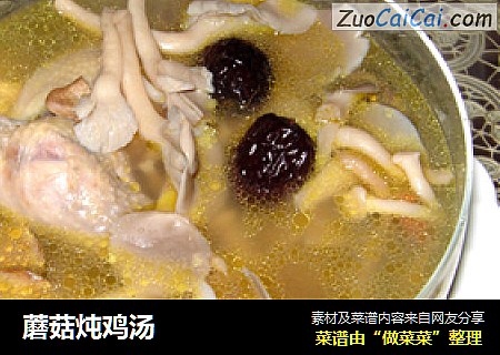 蘑菇炖鸡汤