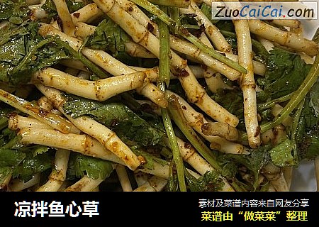 凉拌鱼心草