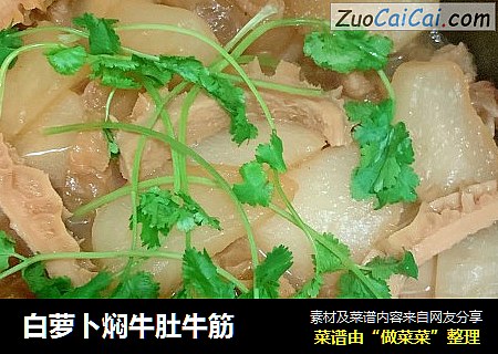 白萝卜焖牛肚牛筋