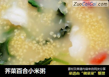 荠菜百合小米粥