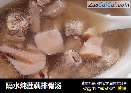 隔水炖莲藕排骨汤